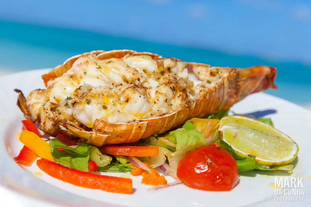 Food Bahamas Lobster Photography