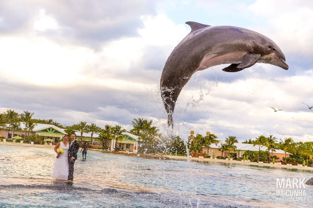 Atlantis Dolphins Wedding Photographer Bahamas Wedding Photography
