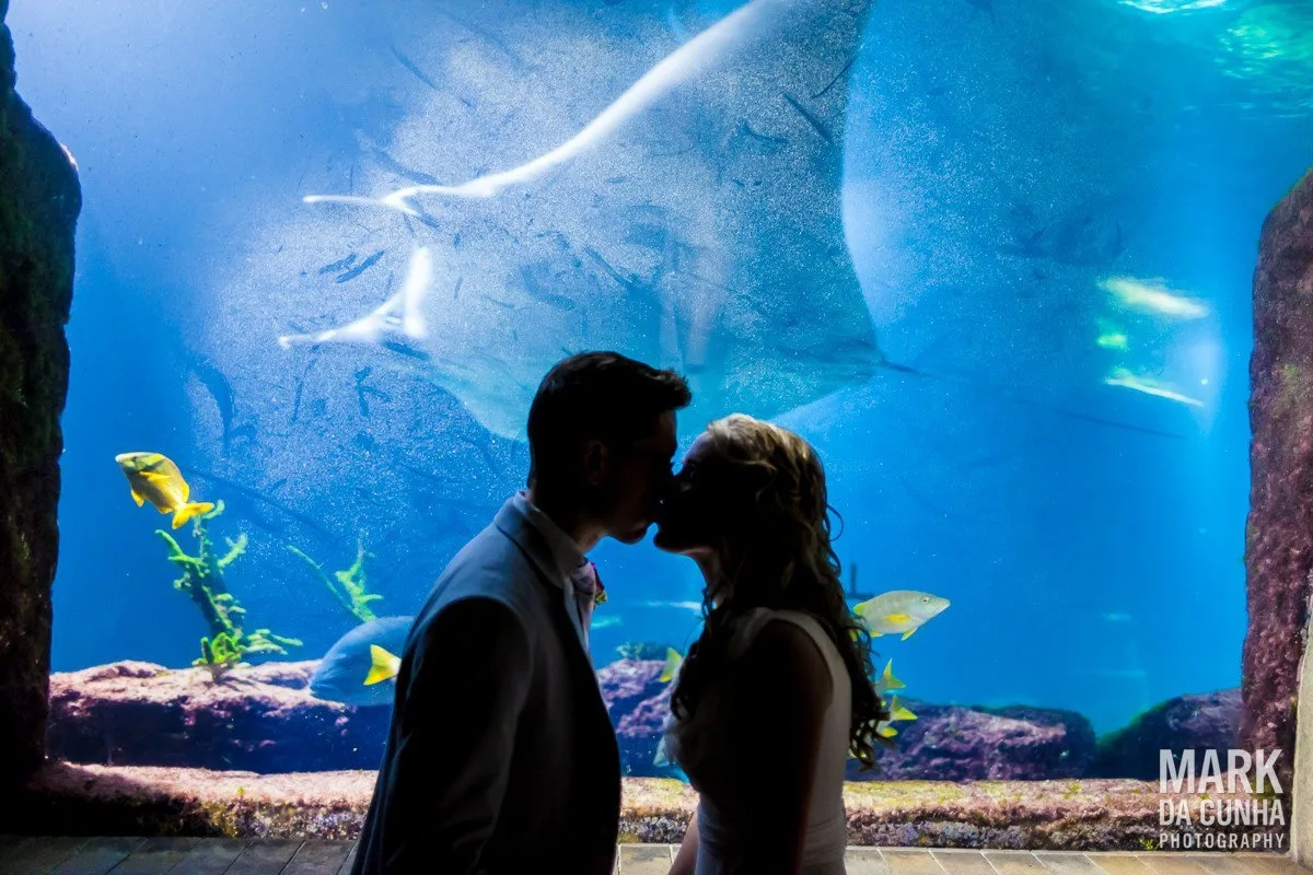 Atlantis Wedding Photographer Bahamas Wedding Photography