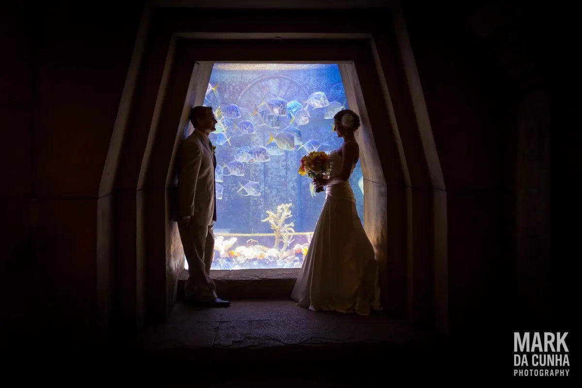 Atlantis Wedding Photographer Bahamas Wedding Photography