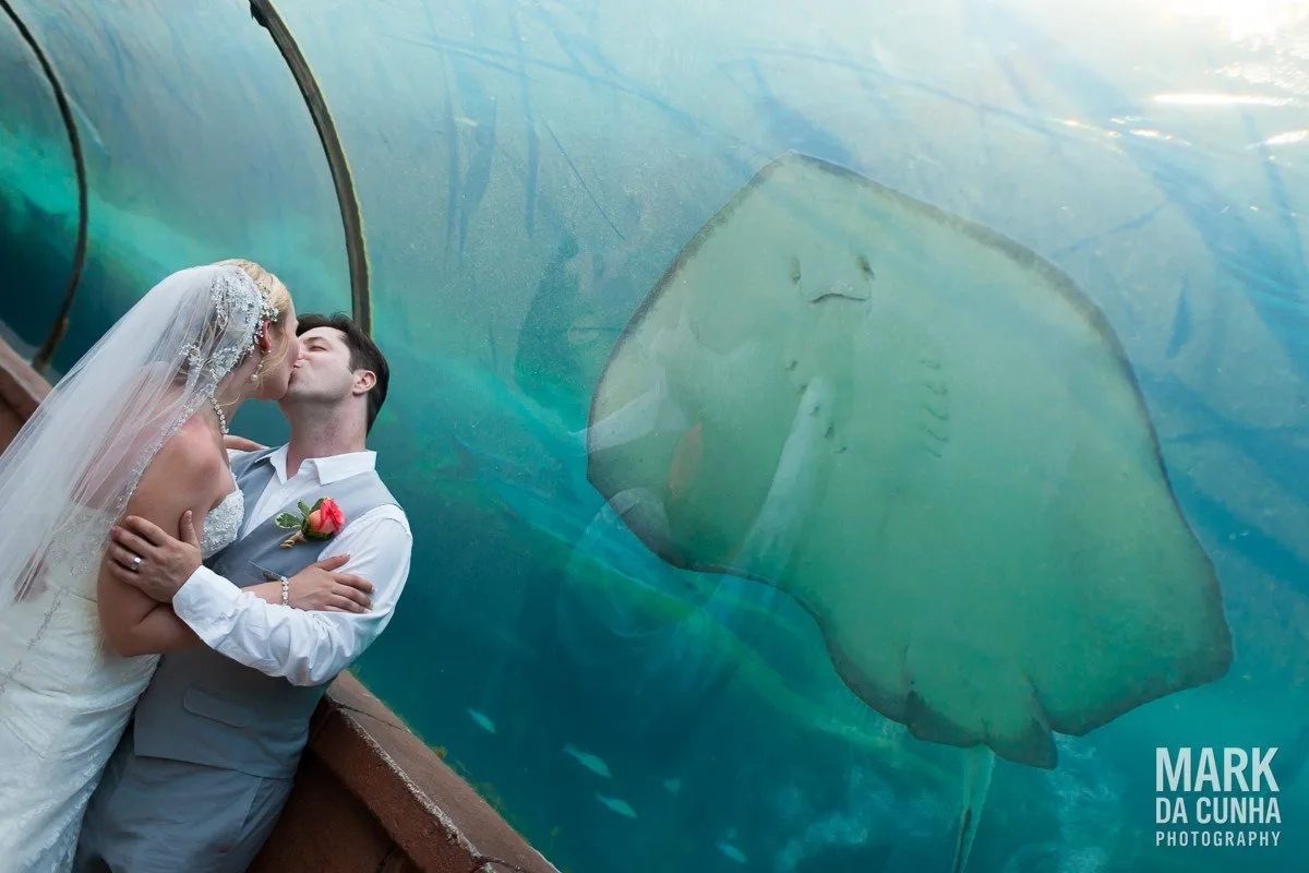 Atlantis Wedding Photographer Bahamas Wedding Photography