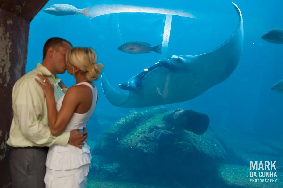 Atlantis Wedding Photographer Bahamas Wedding Photography