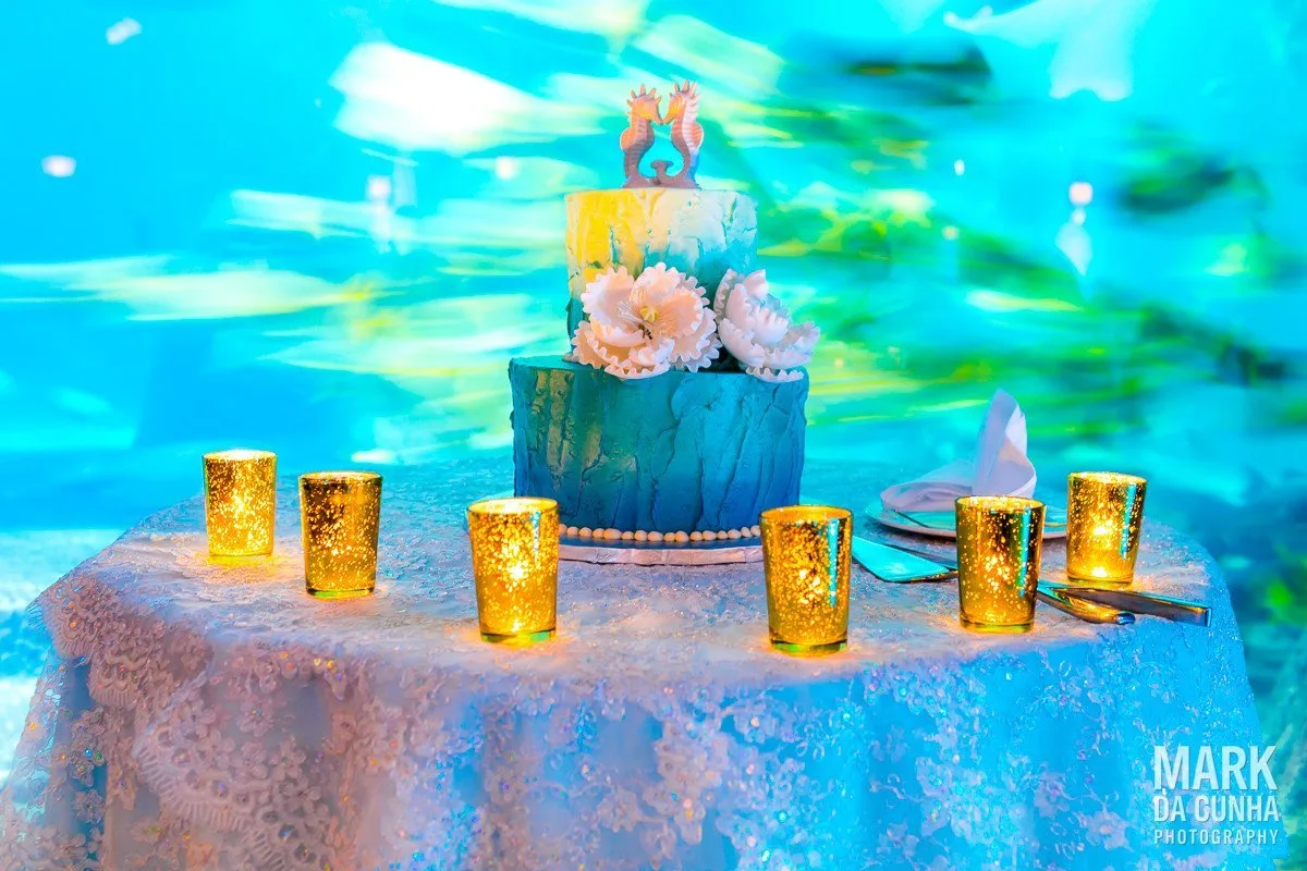 Wedding Cake Photographer Bahamas Wedding Photography