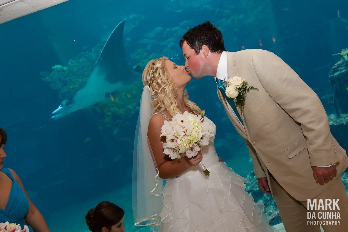 Kiss The Bride Wedding Photography Bahamas Wedding Photographer