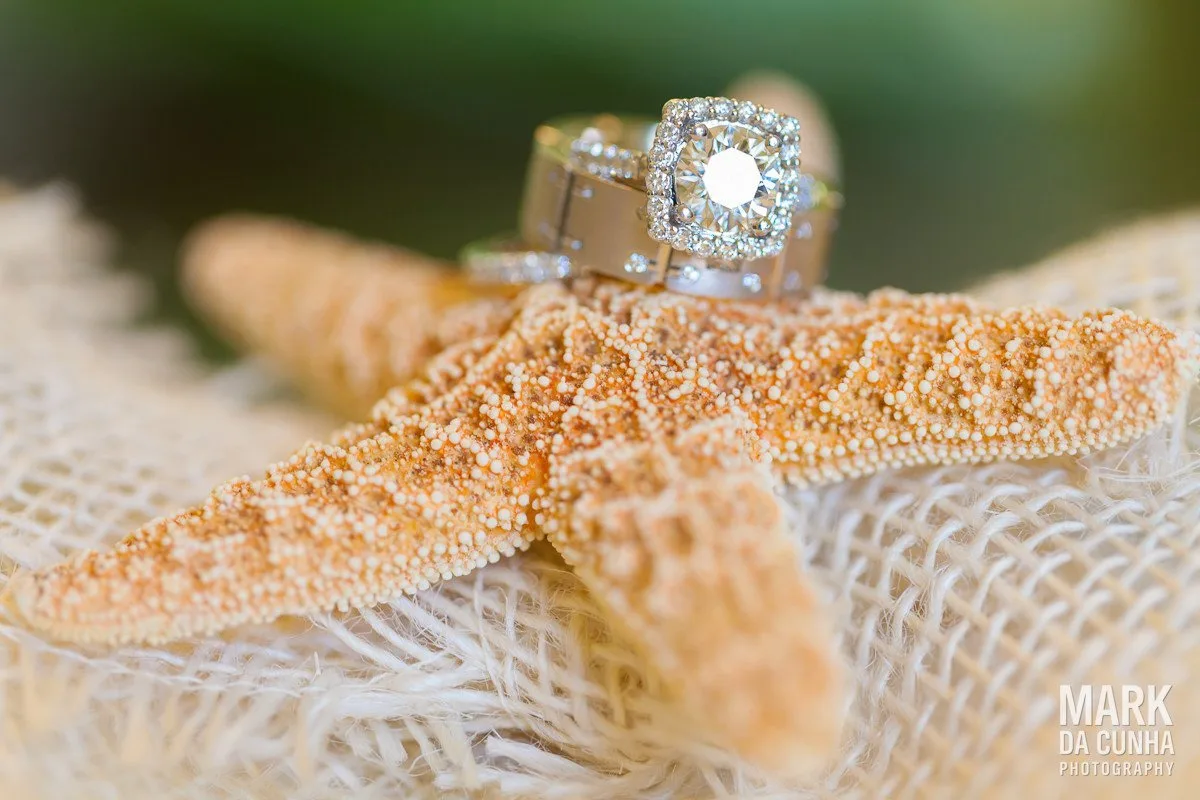 Wedding Rings Photograph Bahamas Wedding Photography