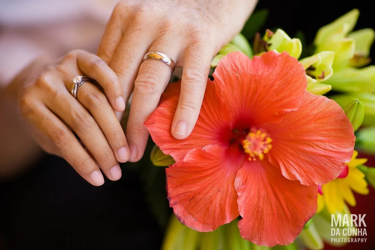 Rings Wedding Photograph Bahamas Wedding Photography